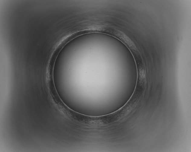 X0000112170628200908141306