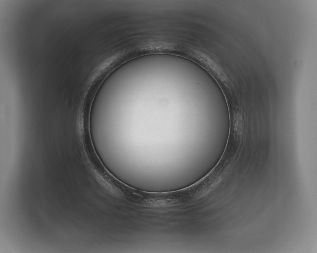 X0000112170629200908141306