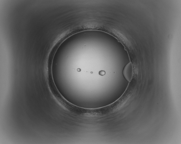 X0000112170630200908141306