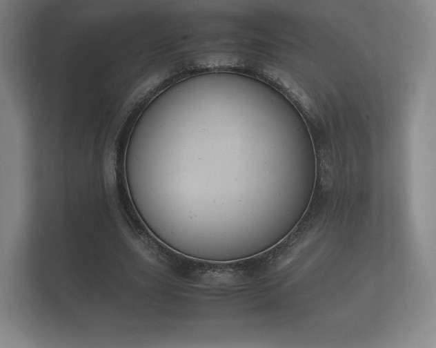 X0000112170631200908141306