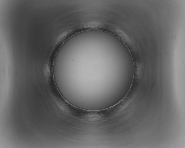 X0000112170636200908141306