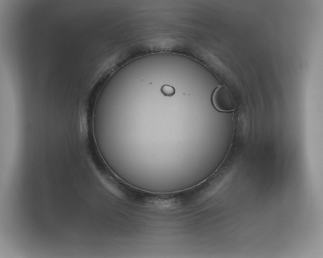 X0000112170638200908141306