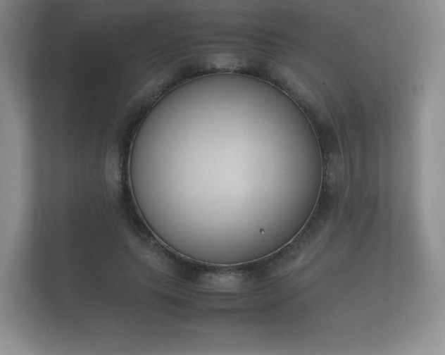 X0000112170639200908141306