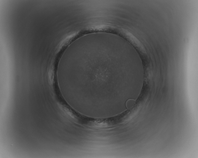 X0000112170640200908141306