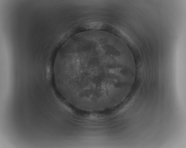 X0000112170641200908141306