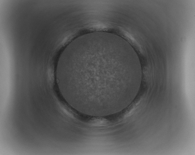 X0000112170642200908141306