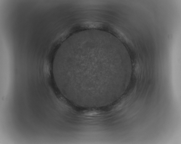 X0000112170643200908141306