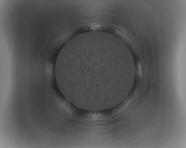 X0000112170650200908141306