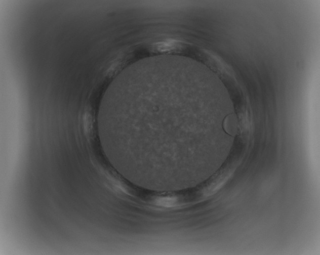 X0000112170653200908141306