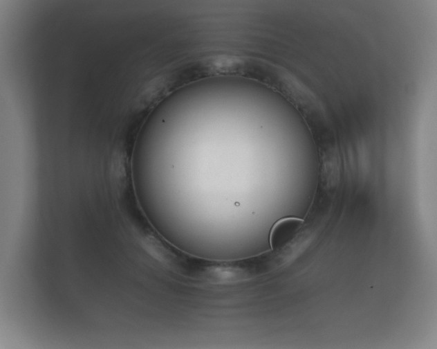 X0000112170654200908141306