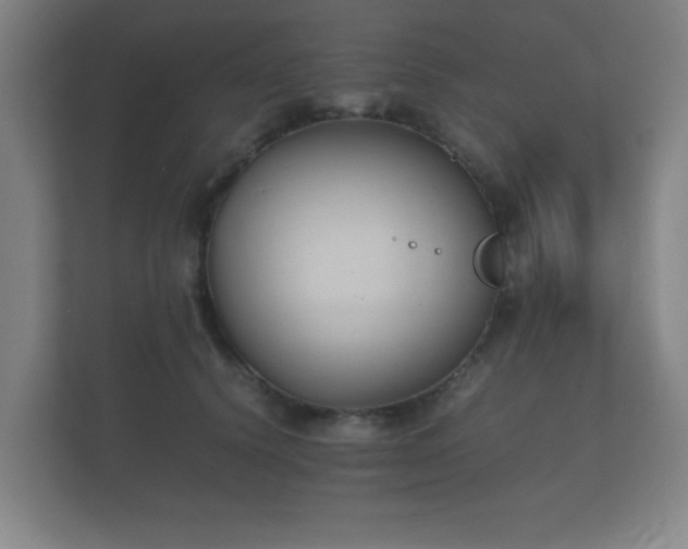 X0000112170656200908141307