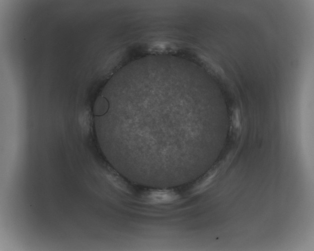 X0000112170659200908141307