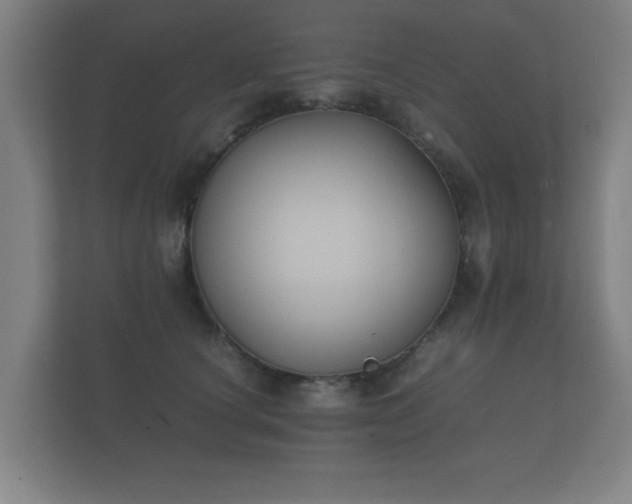 X0000112170660200908141307