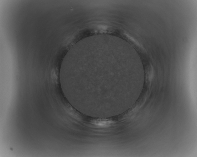 X0000112170661200908141307