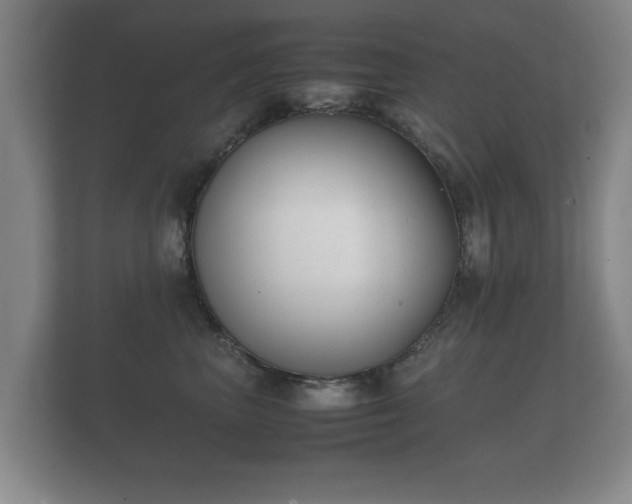 X0000112170667200908141307