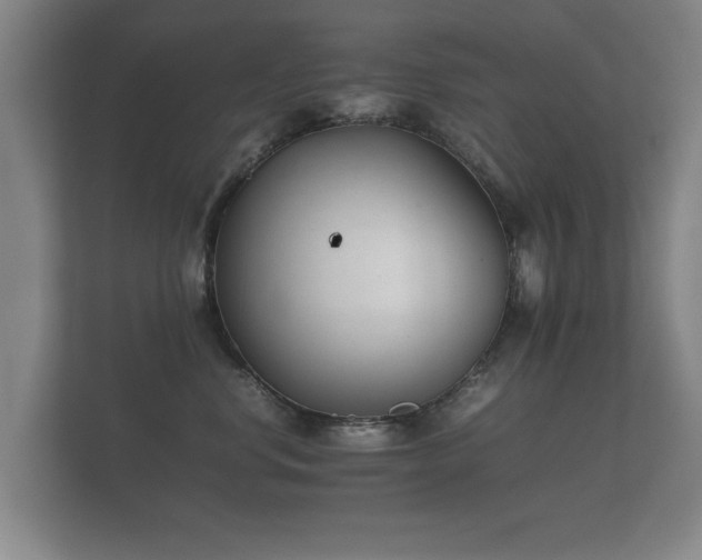 X0000112170668200908141307