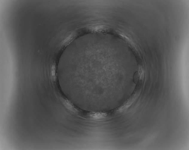 X0000112170670200908141307