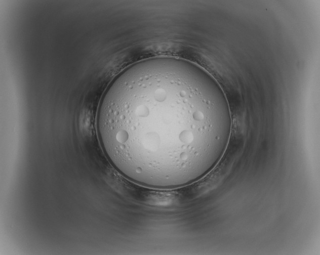 X0000112170671200908141307