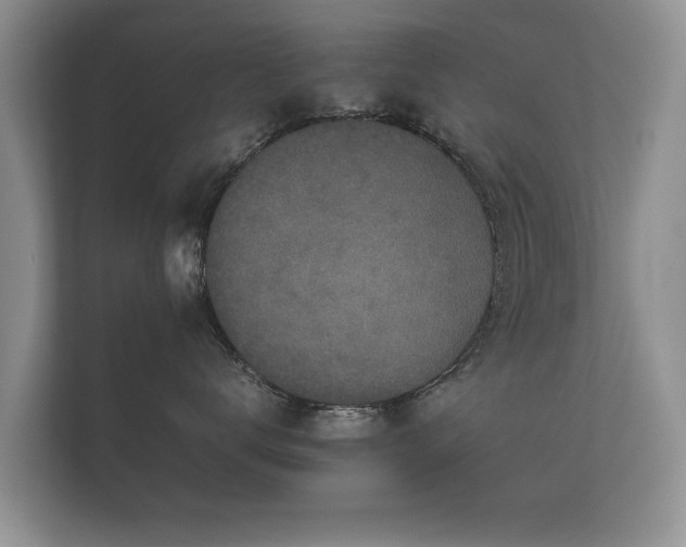 X0000112170672200908141307