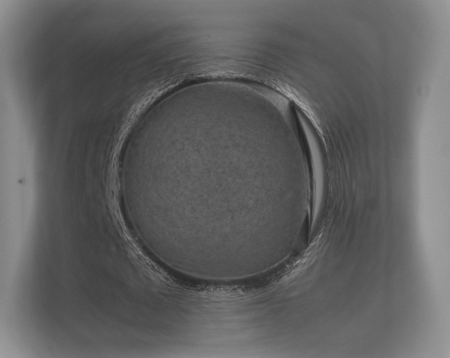 X0000112170673200908141306