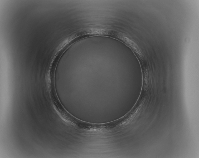 X0000112170674200908141306