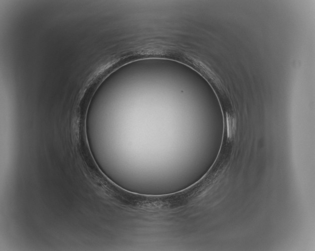 X0000112170675200908141306