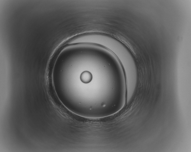 X0000112170676200908141306