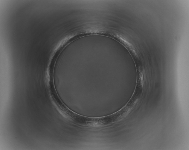 X0000112170678200908141306