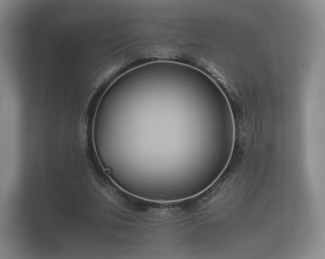 X0000112170679200908141306