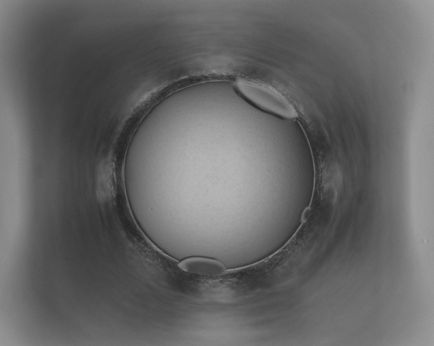 X0000112170680200908141306