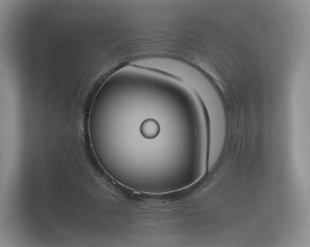 X0000112170681200908141306