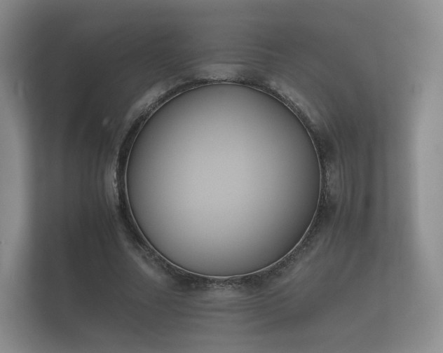 X0000112170682200908141306