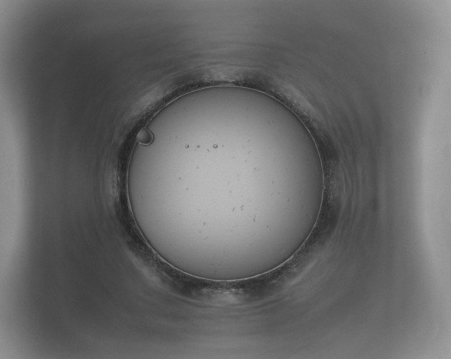 X0000112170683200908141306