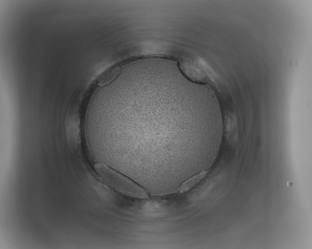 X0000112170684200908141306