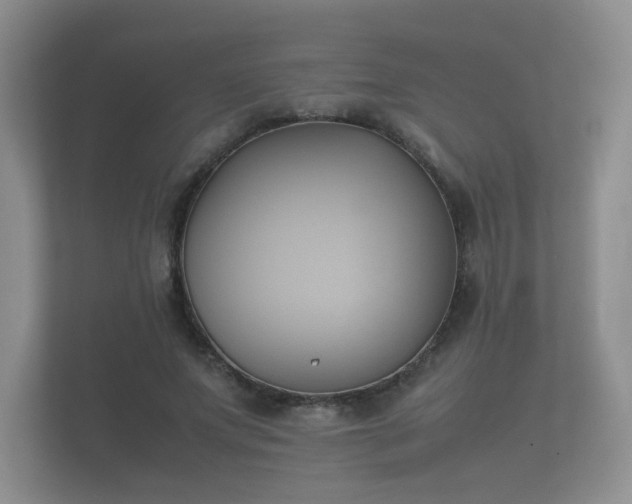 X0000112170687200908141306