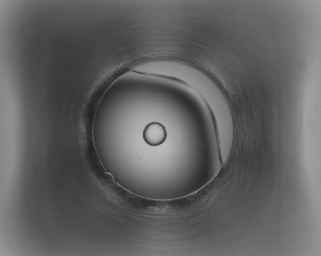 X0000112170688200908141306