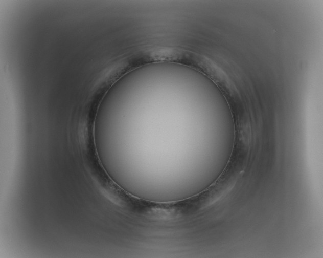 X0000112170690200908141306