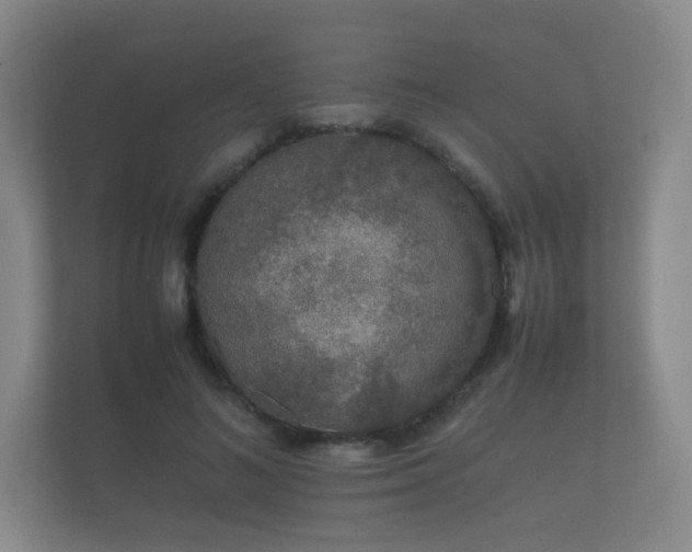 X0000112170692200908141306