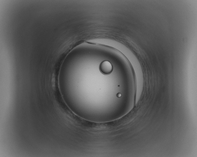 X0000112170696200908141306