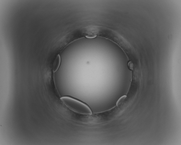 X0000112170697200908141306