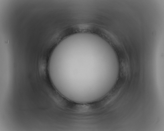 X0000112170698200908141306