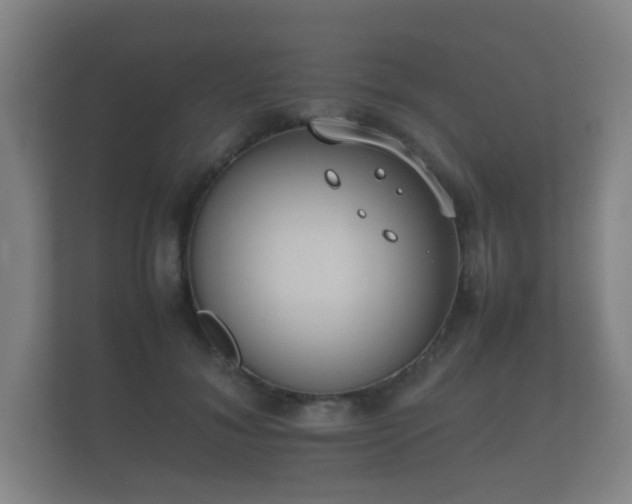 X0000112170700200908141306