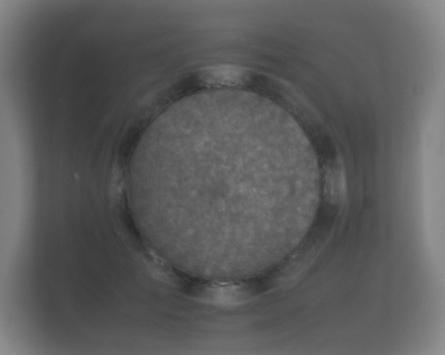 X0000112170701200908141306