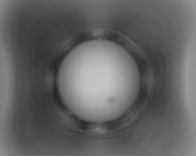 X0000112170702200908141306