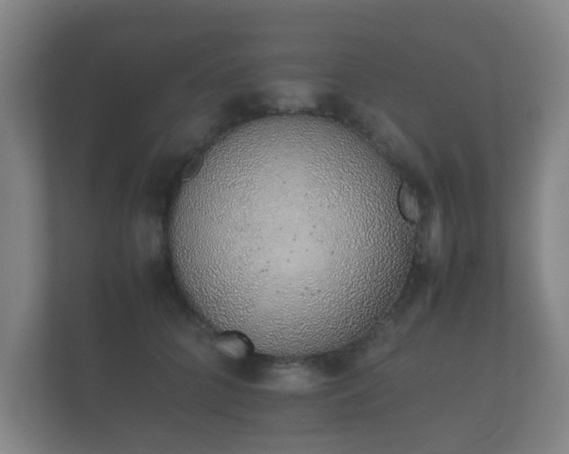 X0000112170704200908141306