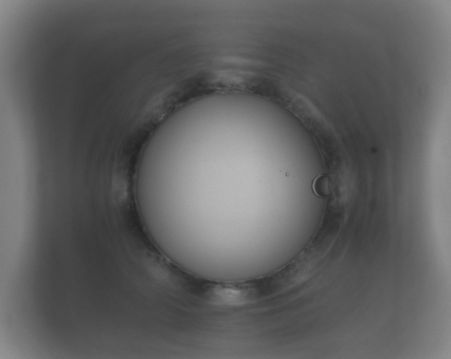 X0000112170706200908141306