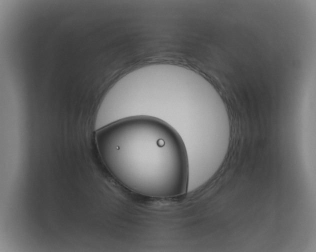 X0000112170708200908141306