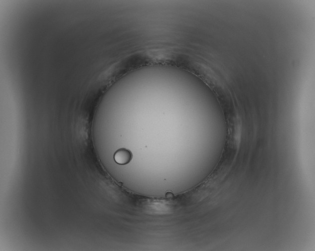 X0000112170710200908141306