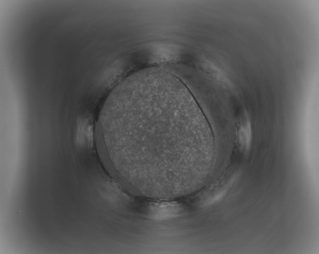 X0000112170716200908141306