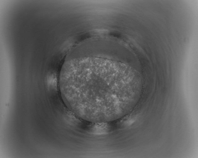 X0000112170720200908141305